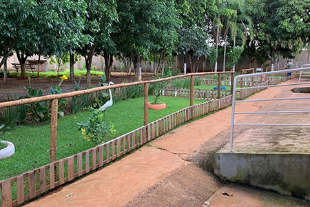 Clínica SD - Resgatando Vidas