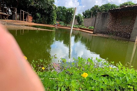 Clínica SD - Resgatando Vidas